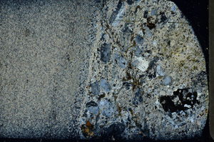 Cross Polarized, S80236