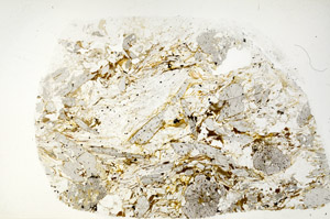 Plane Polarized, S80243