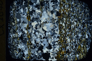 Cross Polarized, S80248