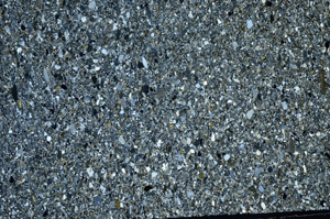 Cross Polarized, S80302