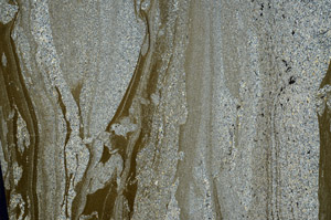 Cross Polarized, S80334