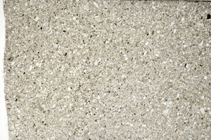 Plane Polarized, S80343