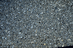 Cross Polarized, S80344