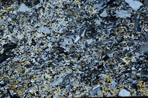 Cross Polarized, S80560