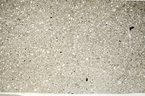 Plane Polarized, S80654