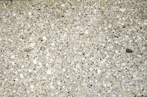 Plane Polarized, S80655