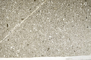 Plane Polarized, S80659