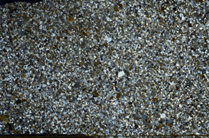 Cross Polarized, S80666