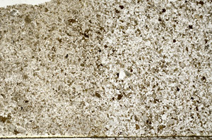 Plane Polarized, S80666