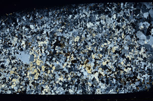 Cross Polarized, S80703