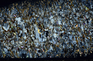 Cross Polarized, S80719