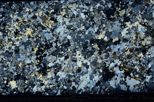 Cross Polarized, S80720