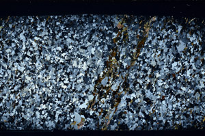 Cross Polarized, S80721