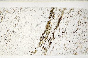 Plane Polarized, S80721