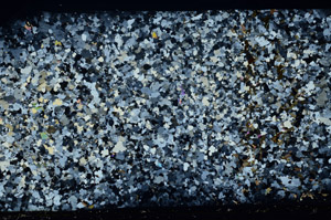 Cross Polarized, S80722