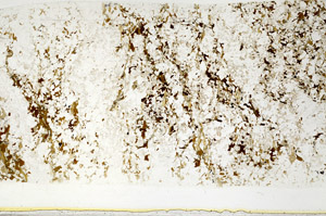 Plane Polarized, S80723