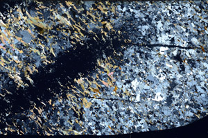 Cross Polarized, S80726