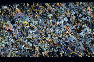 Cross Polarized, S80728