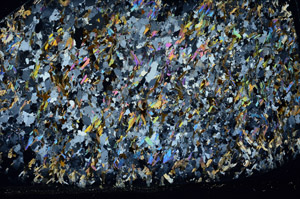 Cross Polarized, S80730