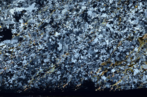 Cross Polarized, S80736