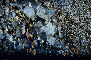 Cross Polarized, S80737