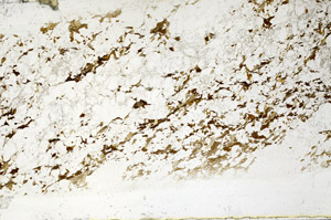 Plane Polarized, S80738