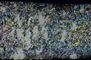 Cross Polarized, S80739