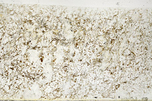 Plane Polarized, S80739