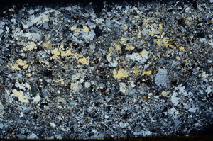 Cross Polarized, S80740