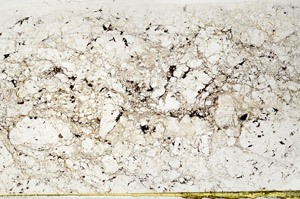 Plane Polarized, S80740