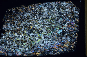 Cross Polarized, S80742