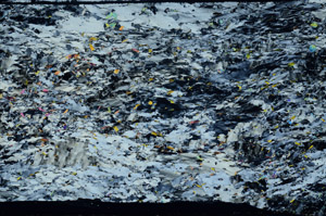 Cross Polarized, S80767