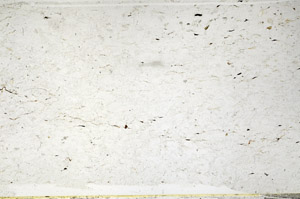 Plane Polarized, S80767