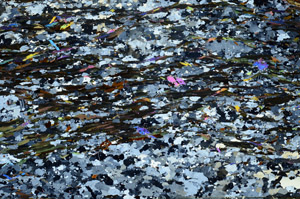 Cross Polarized, S80768