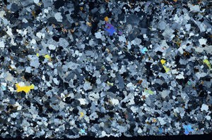 Cross Polarized, S80769