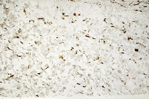 Plane Polarized, S80769