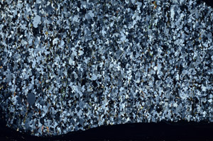 Cross Polarized, S80770