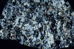 Cross Polarized, S80776