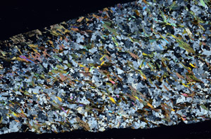 Cross Polarized, S80782