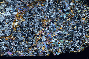 Cross Polarized, S80783