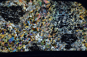 Cross Polarized, S80785