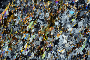 Cross Polarized, S80789