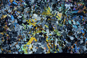 Cross Polarized, S80789/A