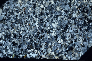 Cross Polarized, S80792