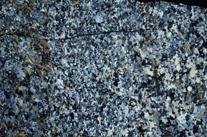Cross Polarized, S80795
