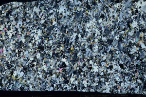 Cross Polarized, S80796