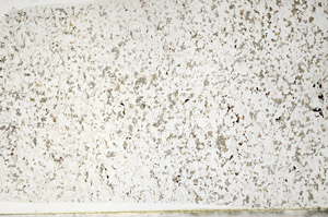 Plane Polarized, S80796