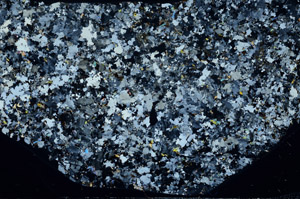 Cross Polarized, S80797