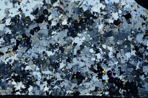 Cross Polarized, S80798