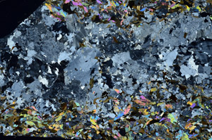 Cross Polarized, S80799